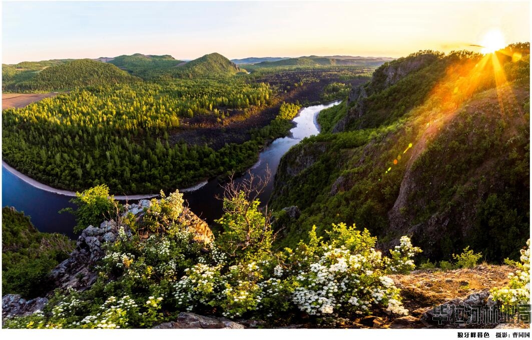 ������ĺɫ