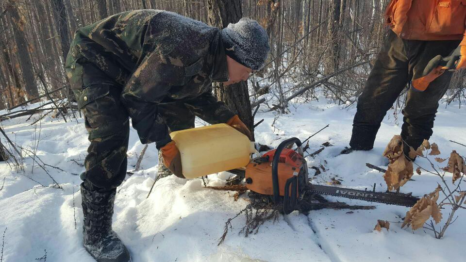 ������ֳ����ж���������������