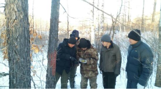 פ�ּල���ɭ�ָ���������������˲�