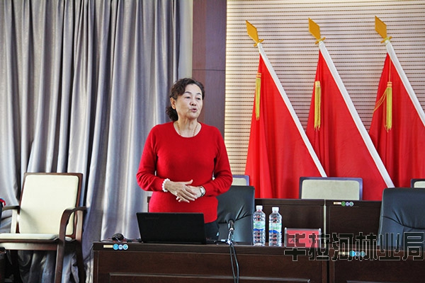 2017��Ͼ�Ůְ������֪ʶ����