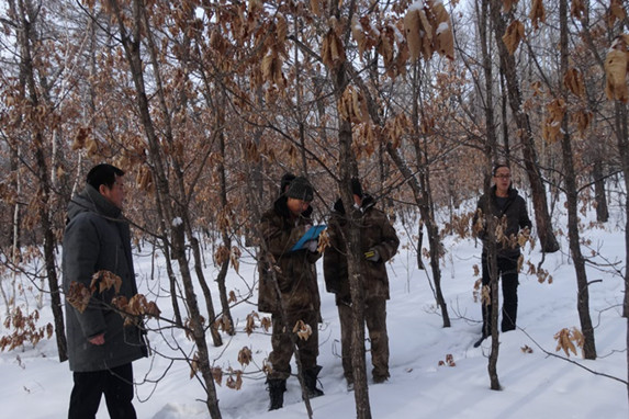 ��Դ�����������ۺϸ������鹤���ӽ�β��